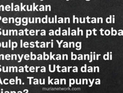 Unggahan Viral Anak Menkeu Buka Luka Lama Penggundulan Hutan di Toba