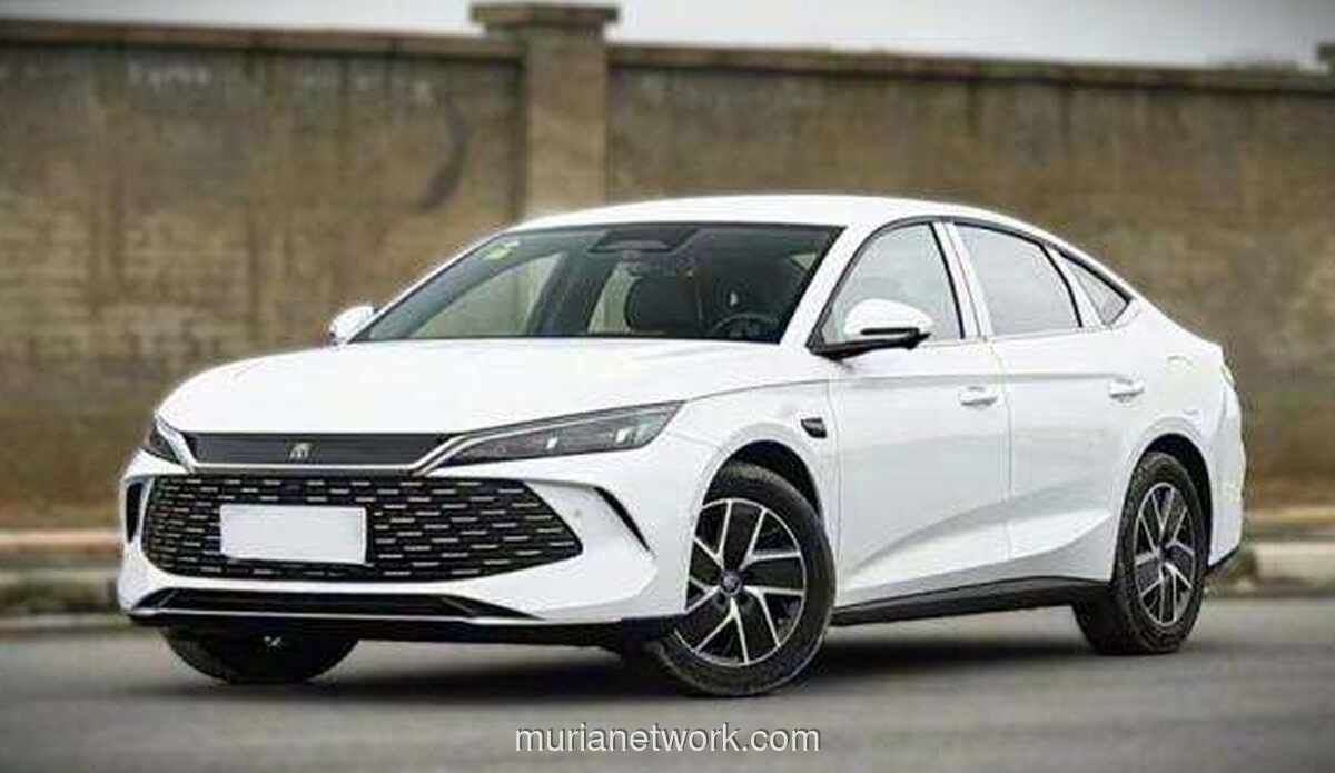 BYD Buka Peluang Rilis Mobil Hybrid di Indonesia