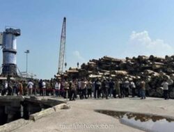 Gudang Kayu Ilegal Rp447 Miliar dari Mentawai Akhirnya Diadili