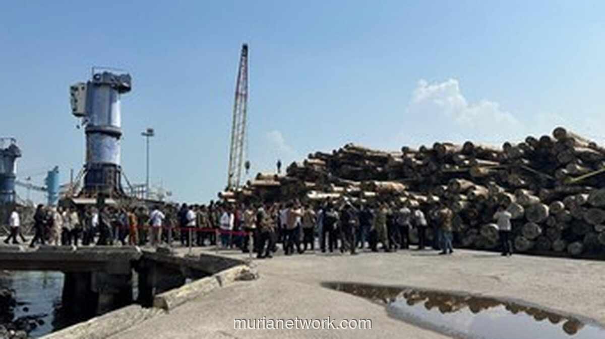 Gudang Kayu Ilegal Rp447 Miliar dari Mentawai Akhirnya Diadili