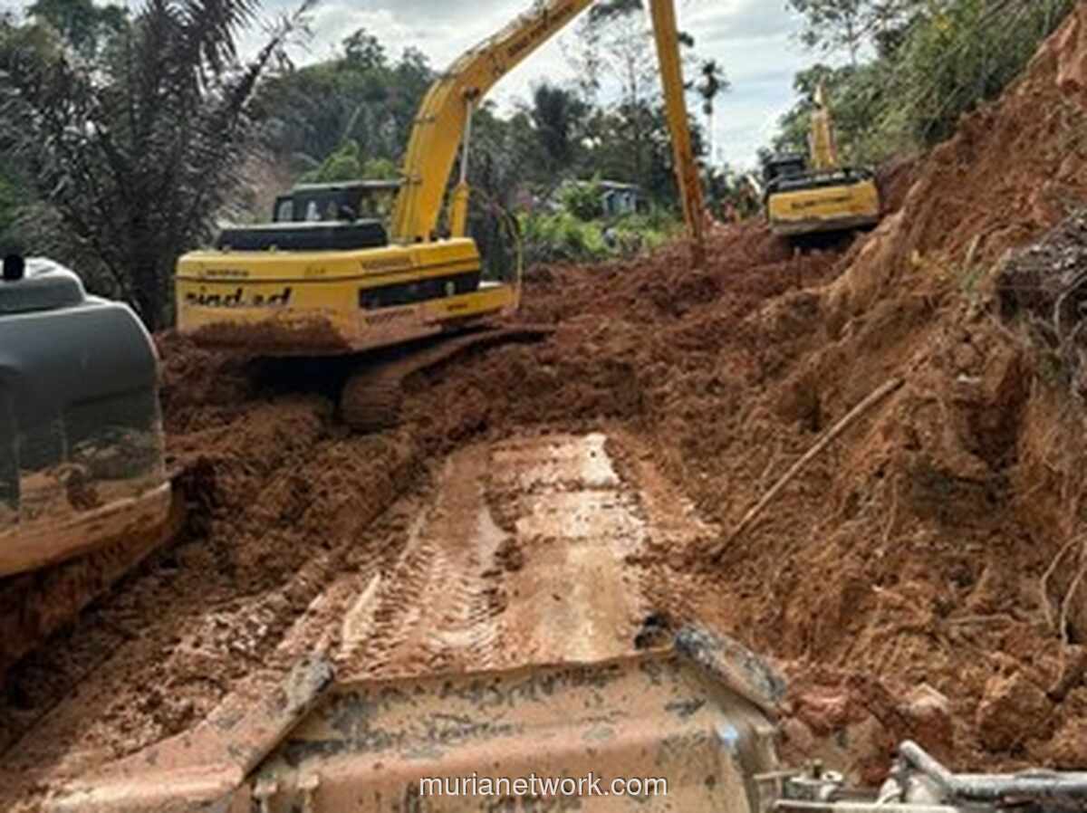 Jembatan Darurat dari Batang Kelapa, Truk Kecil Ditargetkan Masuk Sibolga Hari Ini