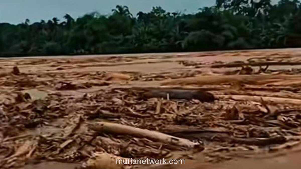 Amarah Alam di Sumatra: Banjir Surut, Duka dan Truk Kayu Kembali Beraksi