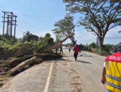 Aceh Tamiang Berbenah, Akses Jalan Darurat Dikebut Pascabanjir