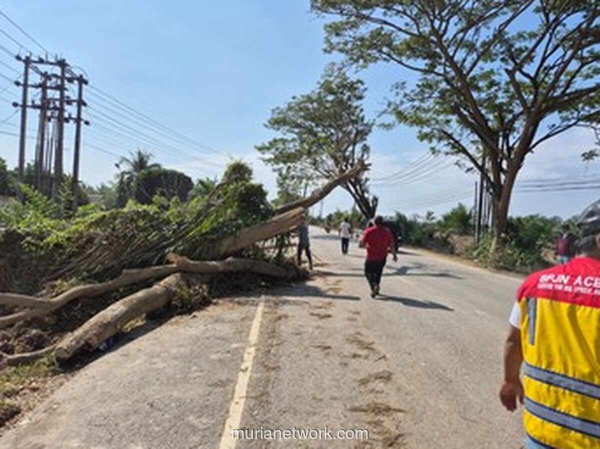 Aceh Tamiang Berbenah, Akses Jalan Darurat Dikebut Pascabanjir