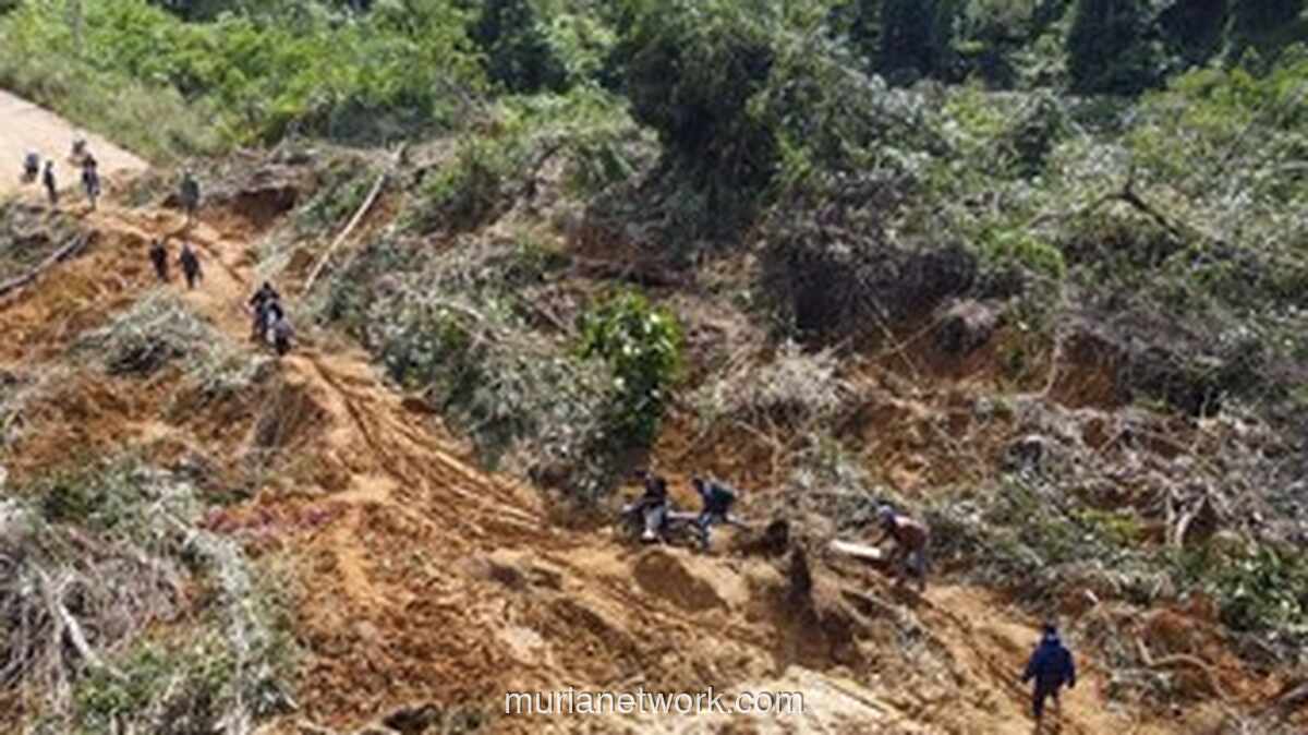 Empat Kabupaten di Aceh Terisolir, Bantuan Terhambat Jalan dan Jembatan Putus