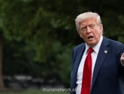 Trump Hentikan Lotre Green Card, Tuding Program Picu Aksi Kekerasan Kampus