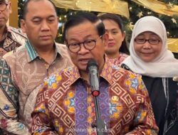 Pramono Anung Ungkap Dilema Pohon Tua Jakarta: Rindang vs Rawan Tumbang