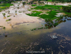 Menteri Lingkungan Hidup Buka Suara: 43 Ribu Hektar Hutan Sumatera Lenyap Picu Banjir Bandang