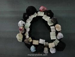 Halaqah Tarbawiyah: Fondasi Dakwah yang Tak Boleh Diabaikan