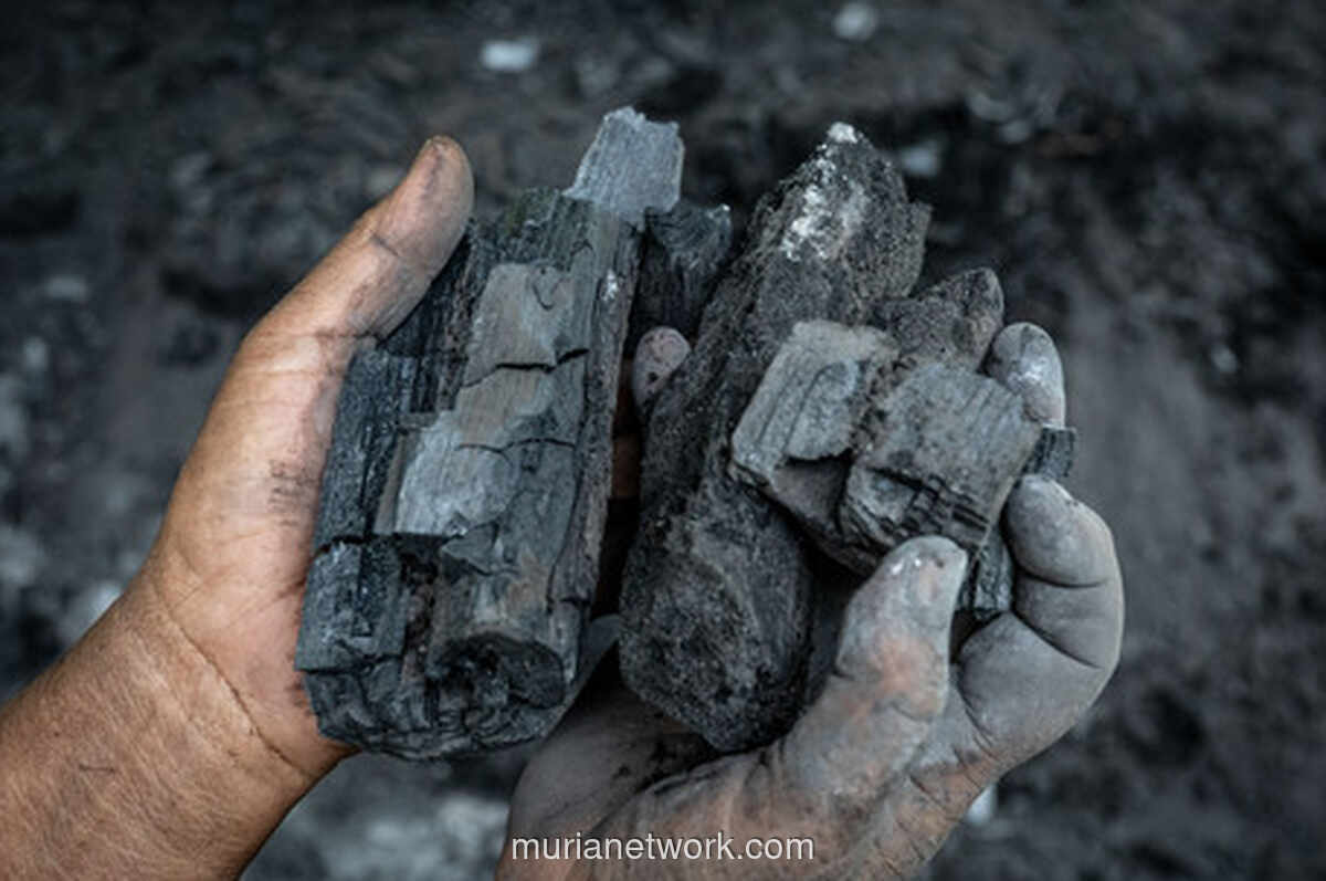 Lonjakan Harga Arang Kayu di Ungaran Timur, Imbas Persiapan Malam Tahun Baru