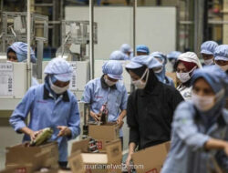 Buruh Lampung Protes: Kenaikan UMP 2026 Dinilai Tak Sanggup Tanggung Beban Hidup