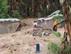 Tanggul Kali Babon Jebol, Ratusan Rumah di Semarang Tergenang Banjir