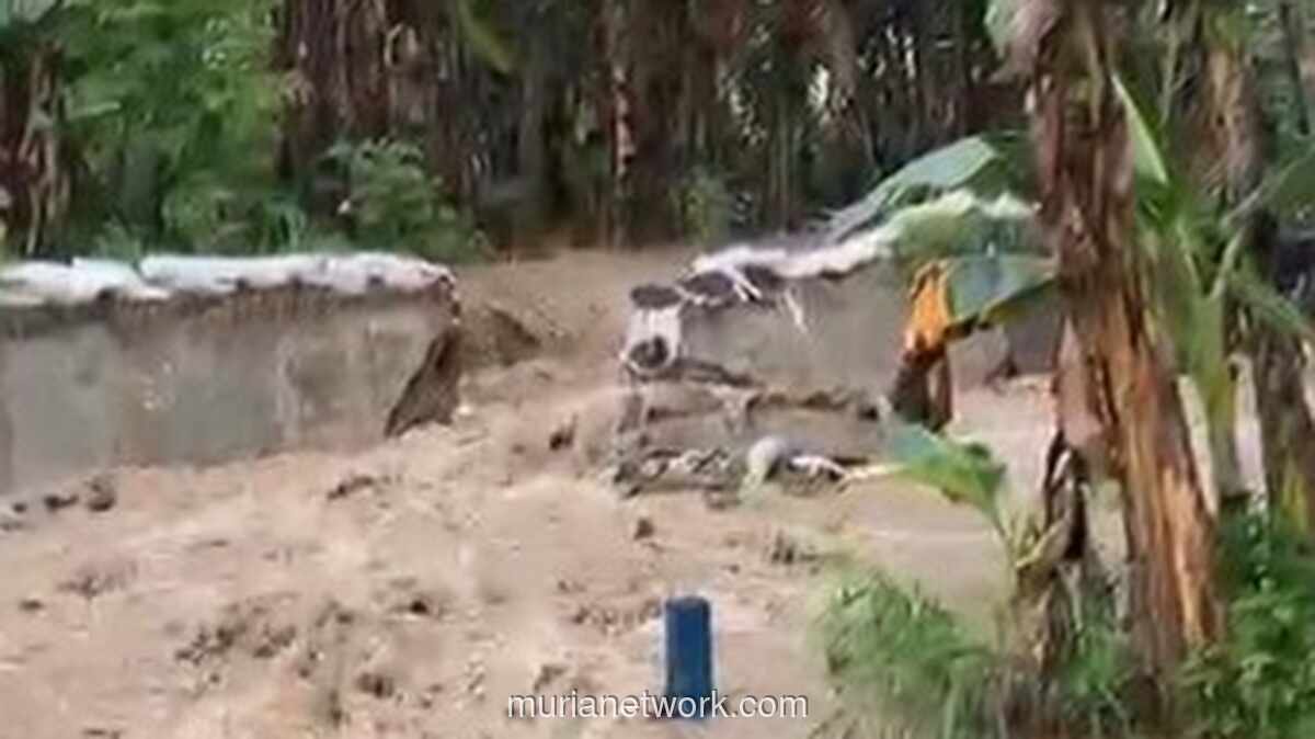 Tanggul Kali Babon Jebol, Ratusan Rumah di Semarang Tergenang Banjir