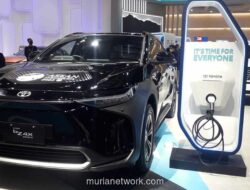 Pakar Peringatkan: Cabut Insentif Mobil Listrik Sekarang, Pasar Bisa Kolaps