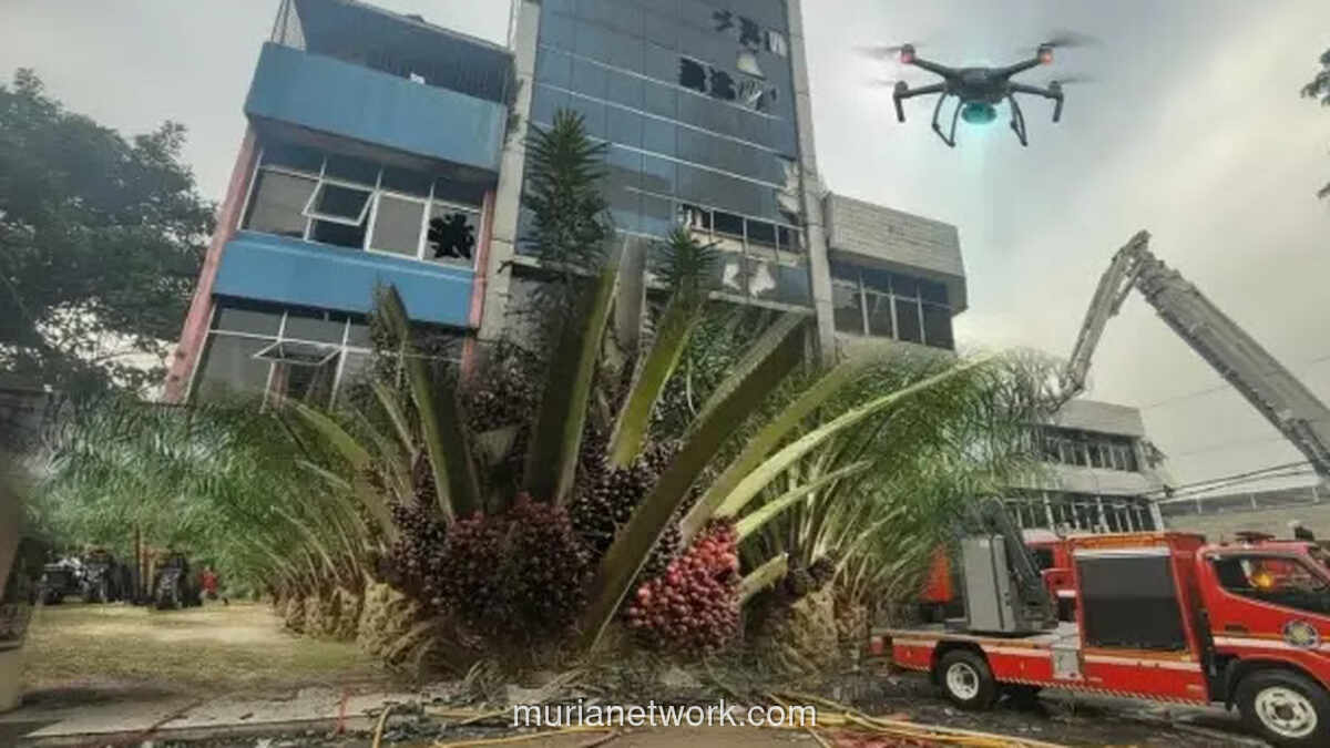 Kebakaran Terra Drone: Api yang Membakar Data dan Misteri Sawit Sumatera