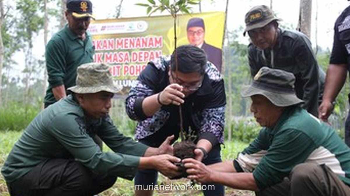 Anggota DPR dan Perhutani Tanam 888 Pohon di Lumajang, Jawab Seruan Jaga Lingkungan