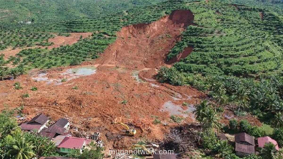 Banjir Sumatra 2025: Peringatan Sepuluh Tahun yang Akhirnya Menjadi Kenyataan