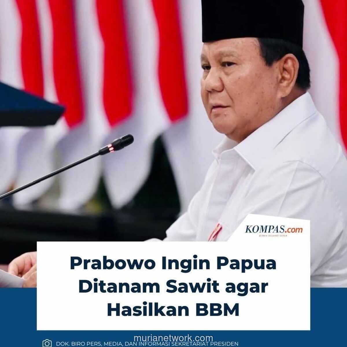 Prabowo dan Mimpi Sawit Papua: Ulangi Kesalahan atau Belajar dari Sumatera?
