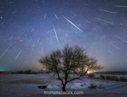 Geminid 2025: Hujan Meteor Spektakuler Siap Hiasi Langit Indonesia