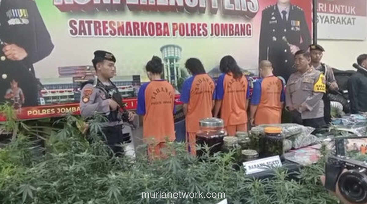 Pasutri Peneliti Ganja Ditangkap, Kebun Indoor Ditemukan di Kontrakan Jombang