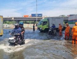 Satu RT di Pluit Masih Terendam, Banjir Rob Diprediksi Berlanjut hingga 10 Desember