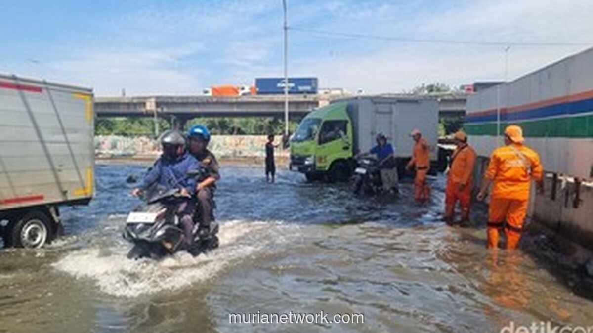 Satu RT di Pluit Masih Terendam, Banjir Rob Diprediksi Berlanjut hingga 10 Desember