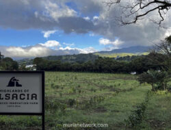 Di Lereng Gunung Berapi Kosta Rika, Racikan Kopi Sumatra Menyapa dari Ujung Dunia