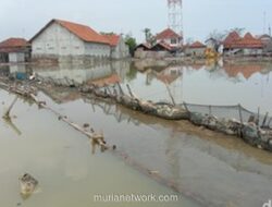 Banjir Rob Tak Kunjung Surut, Mitigasi Jadi Tumpuan Warga Pesisir
