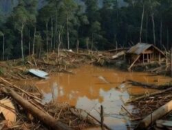 Korupsi Hutan dan Air Mata Sumatra: Saat Bencana Tak Lagi Cuma Soal Alam