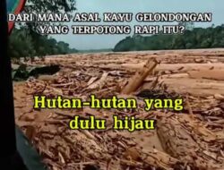 Sutoyo Abadi Soroti Banjir Bandang: Yang Rusak Alam Kita, Penguasa Sendiri