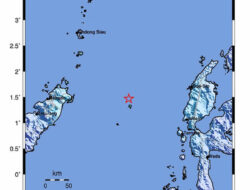 Gempa 5,6 Magnitudo Guncang Maluku Utara, BMKG Pastikan Tak Berpotensi Tsunami
