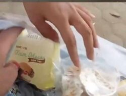 Video Ibu Murid Soroti Isi Paket Makanan Bergizi Sekolah: Cuma Jajanan Warung!