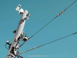 Dari Kartu Telepon ke Raksasa Digital: Saham Moratelindo Melonjak 440% dalam Sebulan