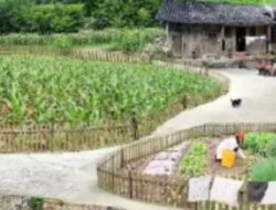 Banjir Bandang dan Pelajaran dari Suku Baduy: Saatnya Kembali pada Harmoni