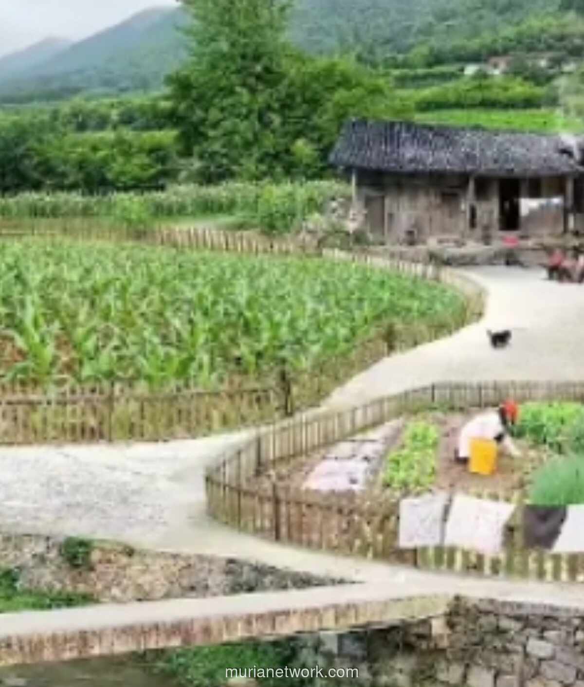 Banjir Bandang dan Pelajaran dari Suku Baduy: Saatnya Kembali pada Harmoni