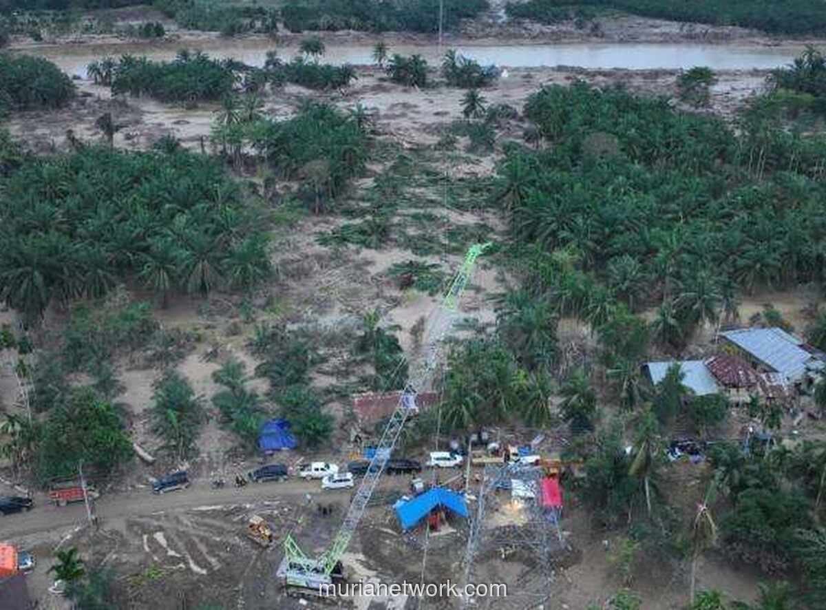 Crane Disulap Jadi Menara Darurat, Listrik Aceh Mulai Kembali