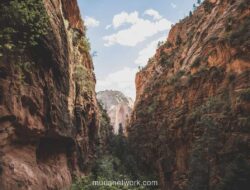 Mimpi Jurang: Pesan Tersembunyi dari Alam Bawah Sadar