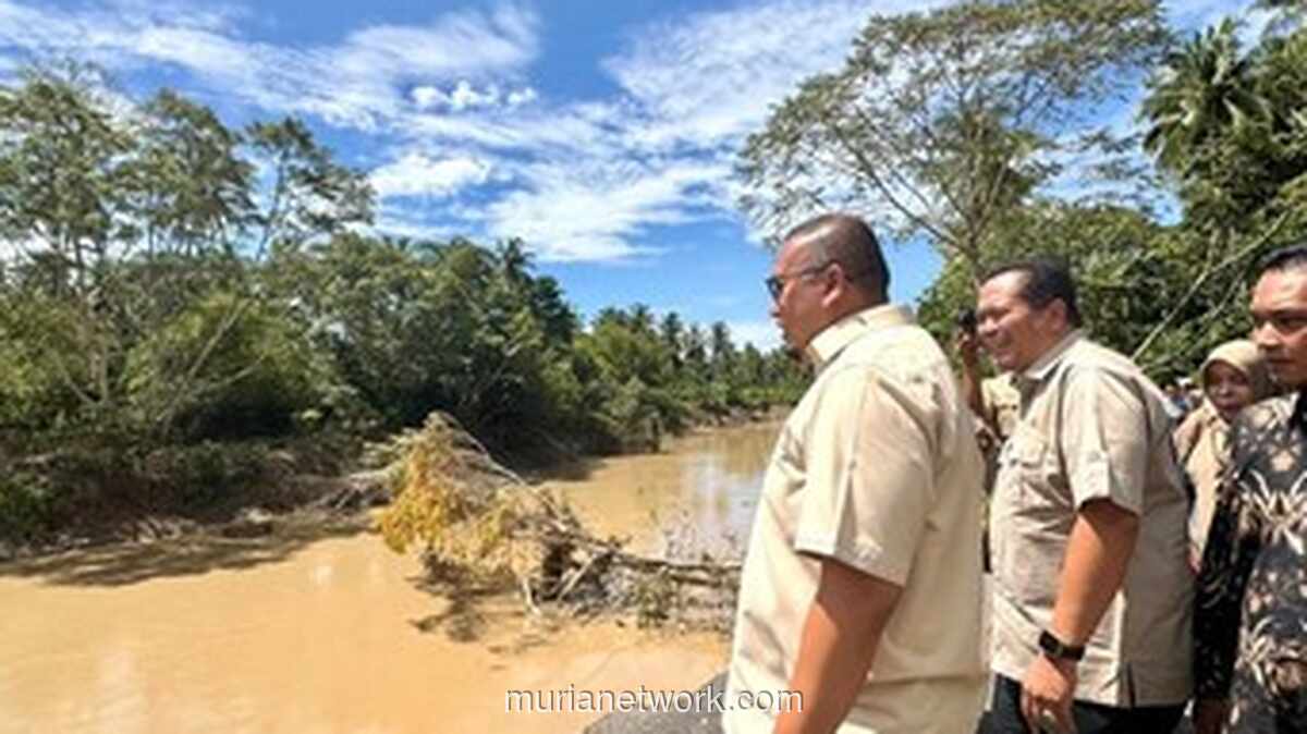 Anggota DPR Desak Perbaikan Segera Batang Mangor Pasca Banjir Pariaman