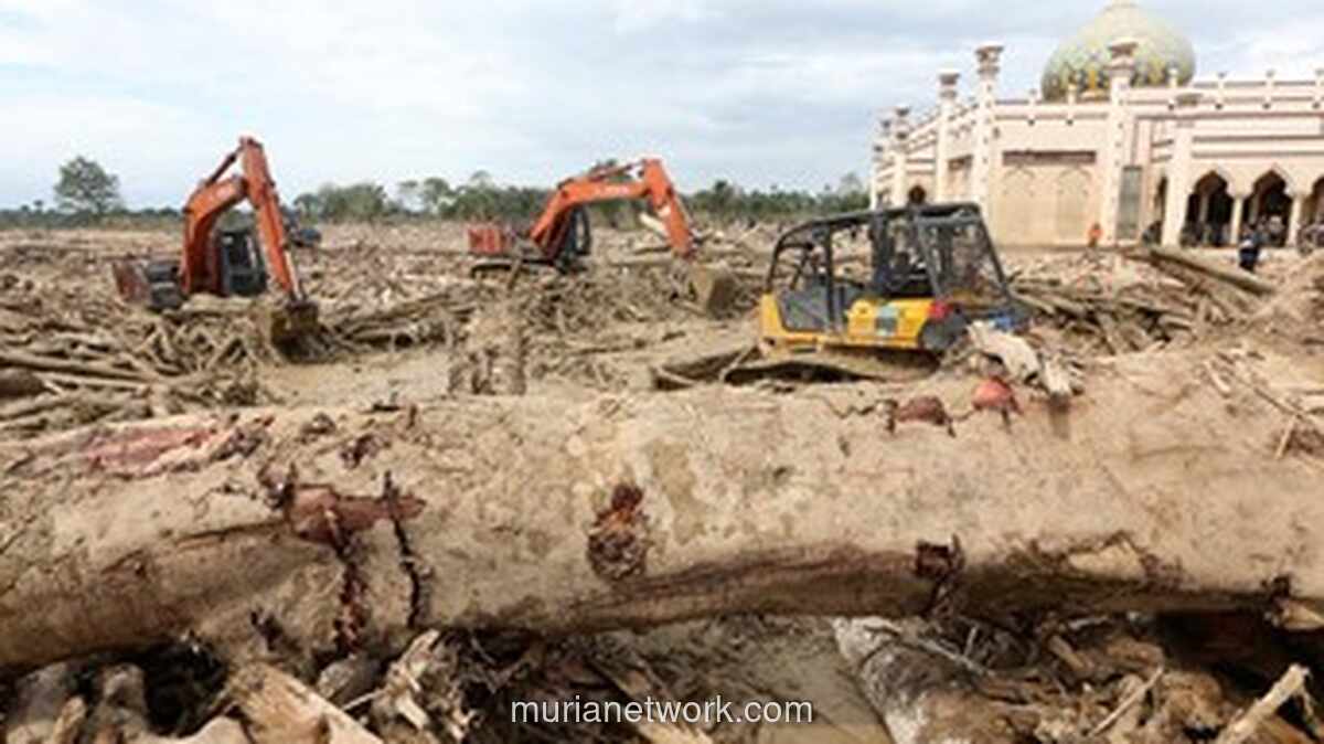 Korban Tewas Banjir Bandang Aceh-Sumatera Capai 1.135 Jiwa, Ratusan Masih Hilang