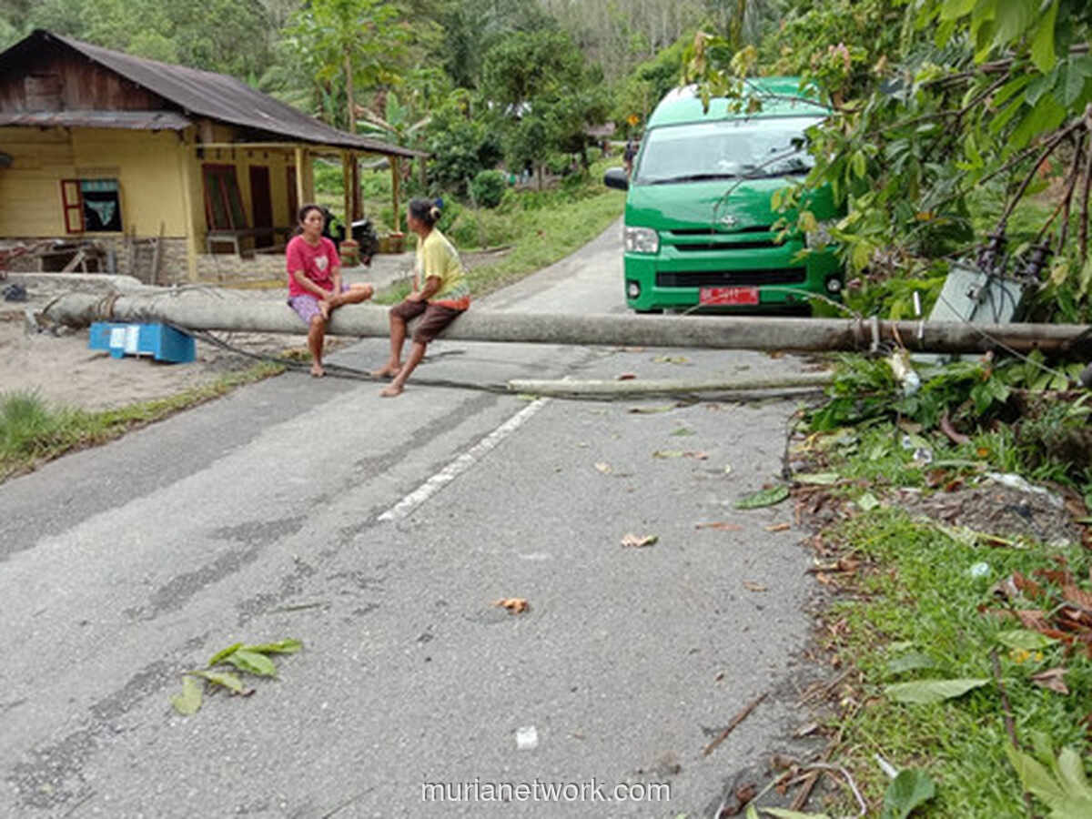 Bupati Tapteng: Longsor dan Banjir Bandang, Imbas Sawit Menggerus Bukit