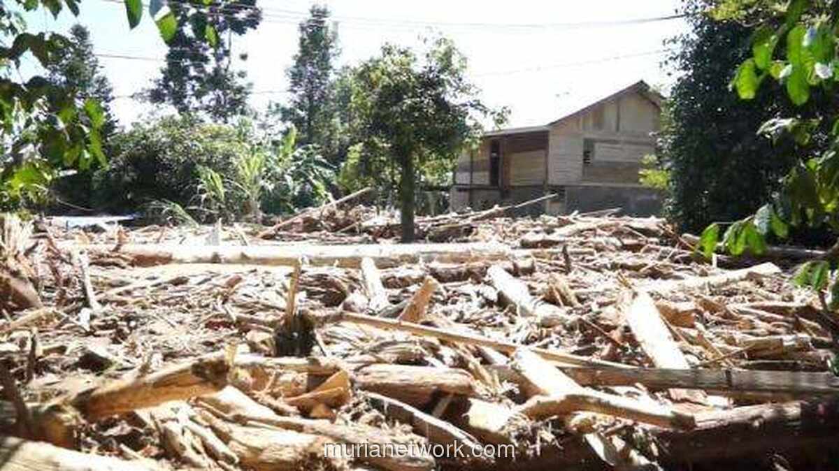 Kayu Hanyutan Banjir Aceh-Sumut-Sumbar Diresmikan Jadi Bahan Bantuan Darurat