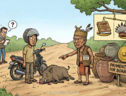 Ketika Motor Tabrak Babi: Denda Adat yang Lebih Mahal dari Kendaraan Itu Sendiri