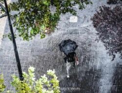 BMKG Siagakan Daerah Ini, Waspada Banjir dan Hujan Ekstrem Awal Desember