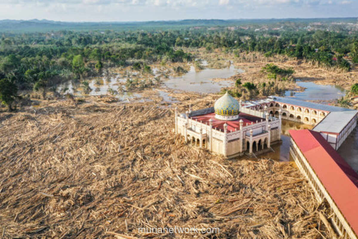 Mendagri Soroti Pemulihan Aceh, Tamiang Jadi Fokus Utama Jelang Kunjungan Presiden