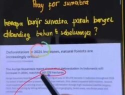 Susi Pudjiastuti Soroti Penyusutan Hutan Sumatera Pemicu Banjir Besar