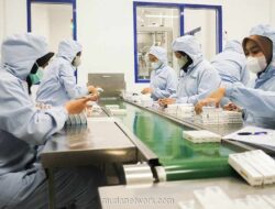 Menarini Pacu Ekspor Farmasi RI, Dermatix Sasar Pasar Tiongkok