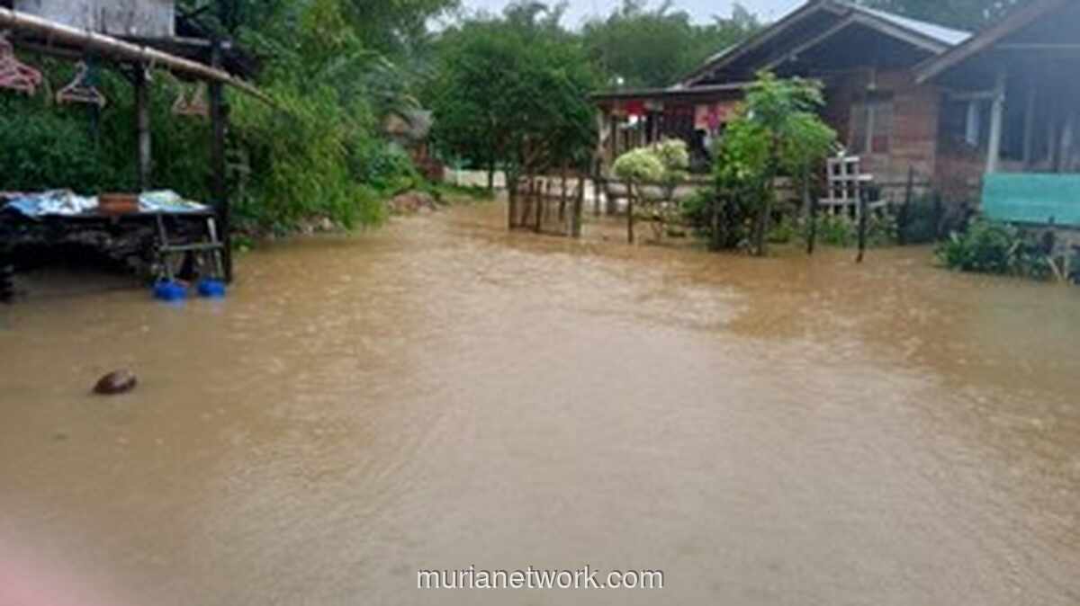 Banjir Aceh Timur: Bantuan Logistik Terganjal, Warga di Pedalaman Terjebak Kelaparan