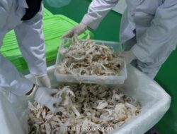 RLCO Tancap Harga IPO di Rp168, Kumpulkan Rp105 Miliar untuk Bisnis Sarang Walet