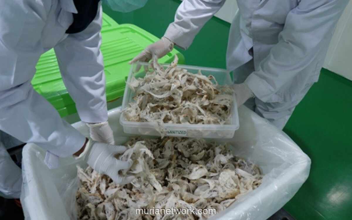 RLCO Tancap Harga IPO di Rp168, Kumpulkan Rp105 Miliar untuk Bisnis Sarang Walet