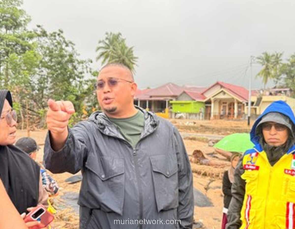 Jembatan Gunung Nago Hanyut, Anggota DPR Desak Penanganan Darurat Sungai Kuranji